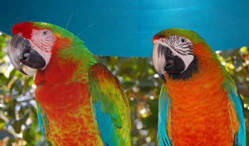 Holiday Inn Miami Beach-Oceanfront image 15