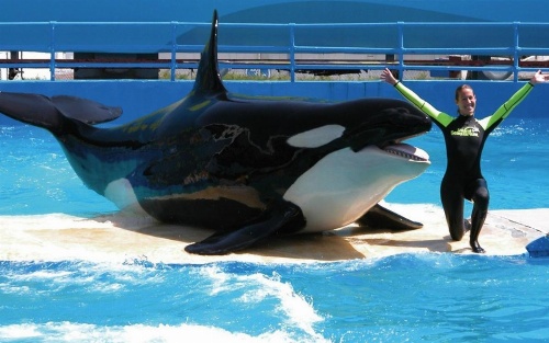 Holiday Inn Miami Beach-Oceanfront image 33